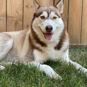 Meet your Posher, Caitlin